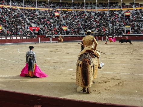 madrid bullfight schedule 2024|spain bullfighting schedule 2024.